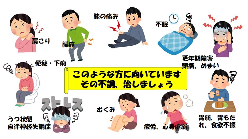 このような方にむいています
・肩こり、腰痛、膝のいたみ
・不眠、便秘・下痢
・更年期障害、頭痛、めまい
・うつ状態、自立神経失調症
・むくみ、疲労、心身虚弱
・胃弱、胃もたれ、食欲不振